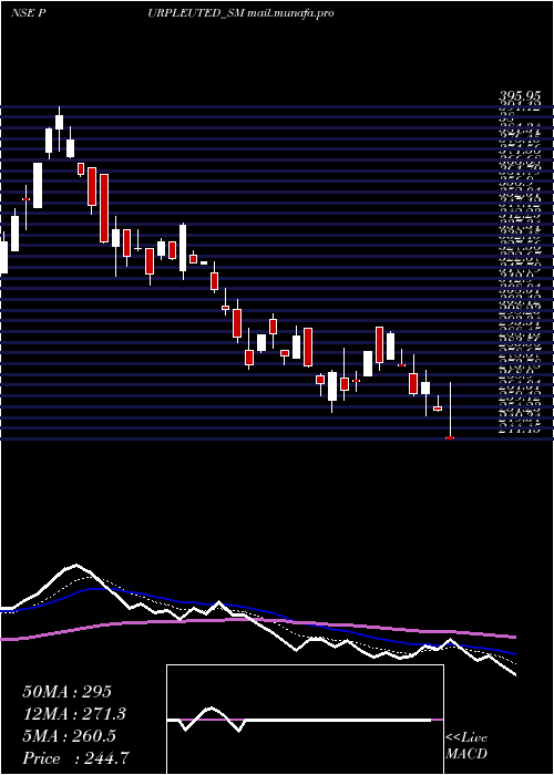  Daily chart PurpleUnited