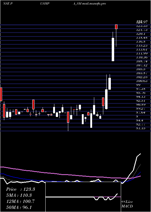  Daily chart PushpaJewellers