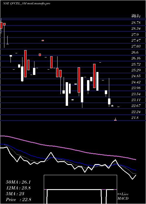  Daily chart QvcExports