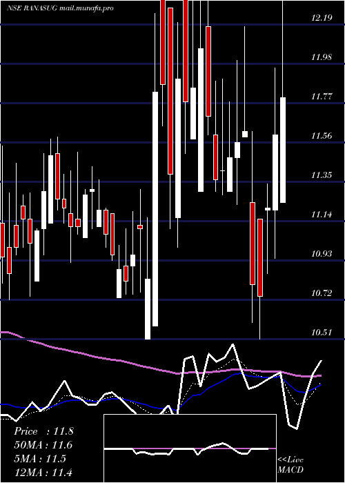  Daily chart RanaSugars