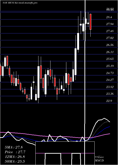  Daily chart ShreeRenuka