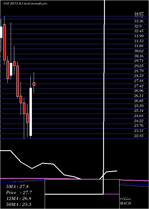  monthly chart ShreeRenuka