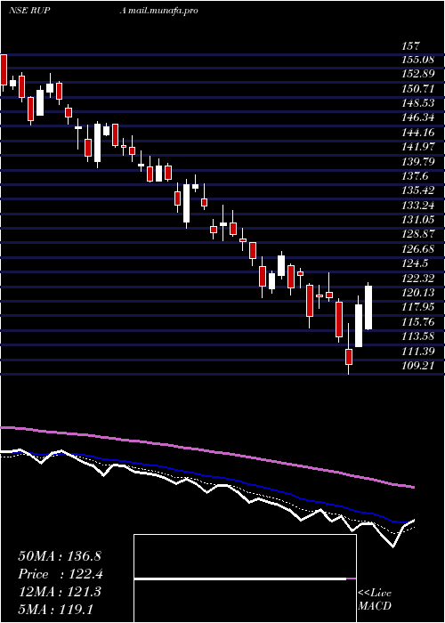  Daily chart RupaCompany