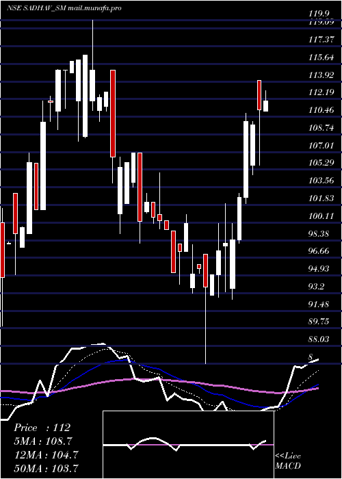  Daily chart SadhavShipping