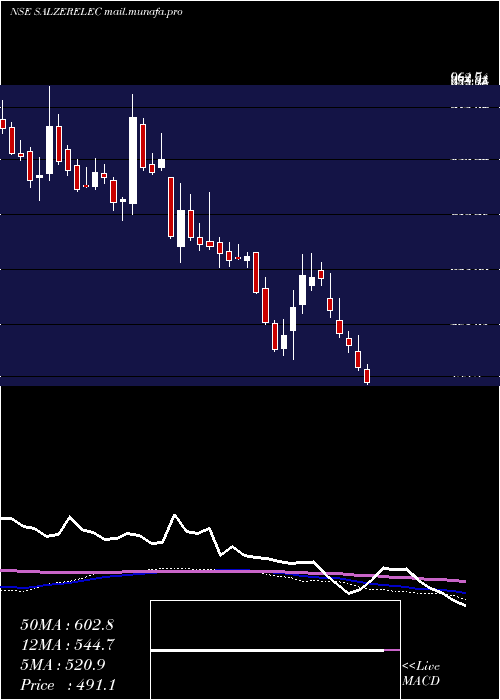  weekly chart SalzerElectronics
