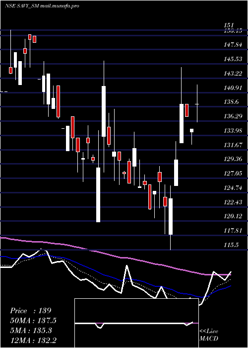  Daily chart SavyInfra