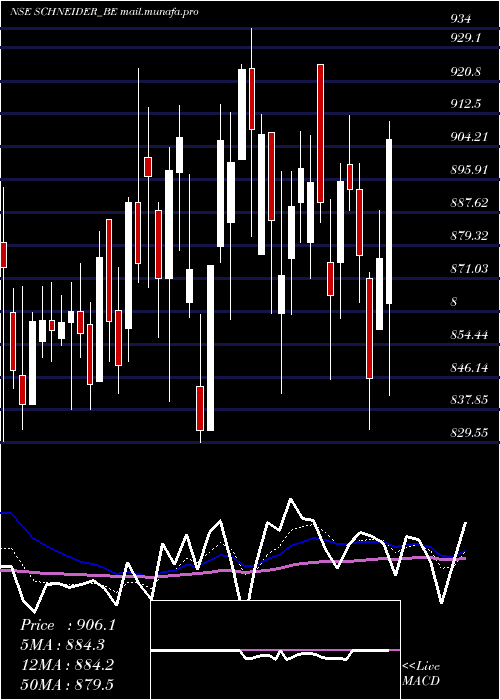  Daily chart SchneiderElectric
