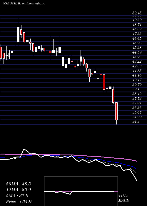  Daily chart ShippingCorp