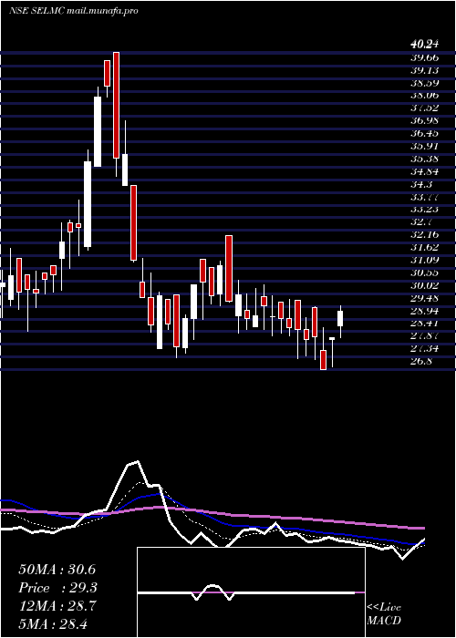  Daily chart SelManufacturing