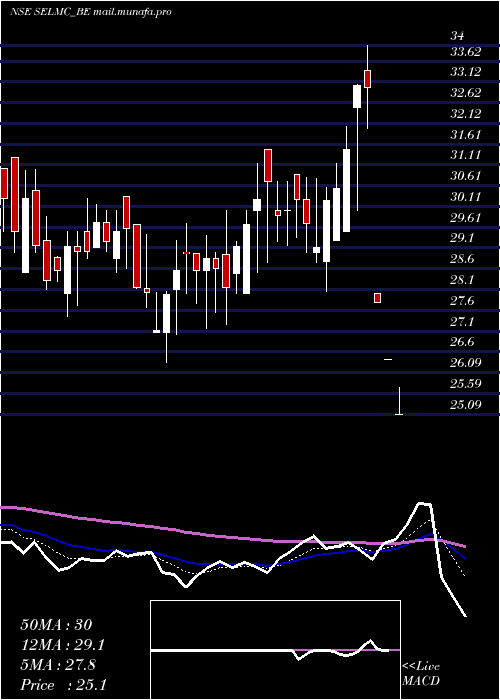  Daily chart SelManufacturing