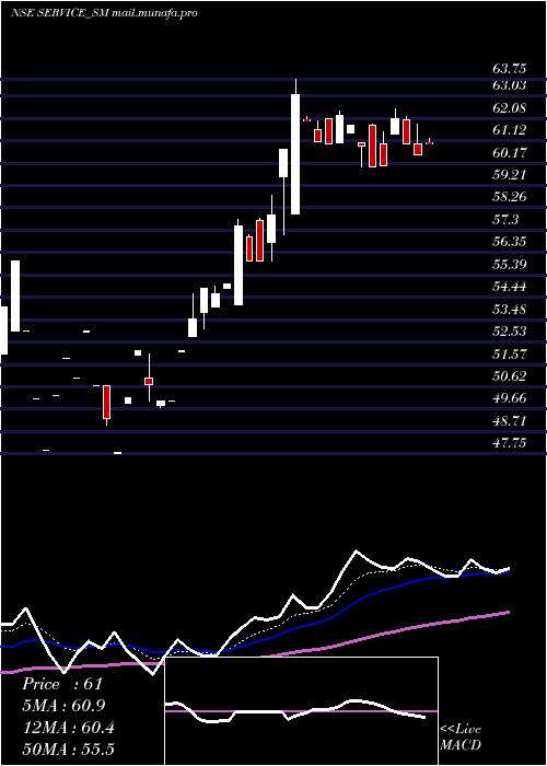 Daily chart ServiceCare