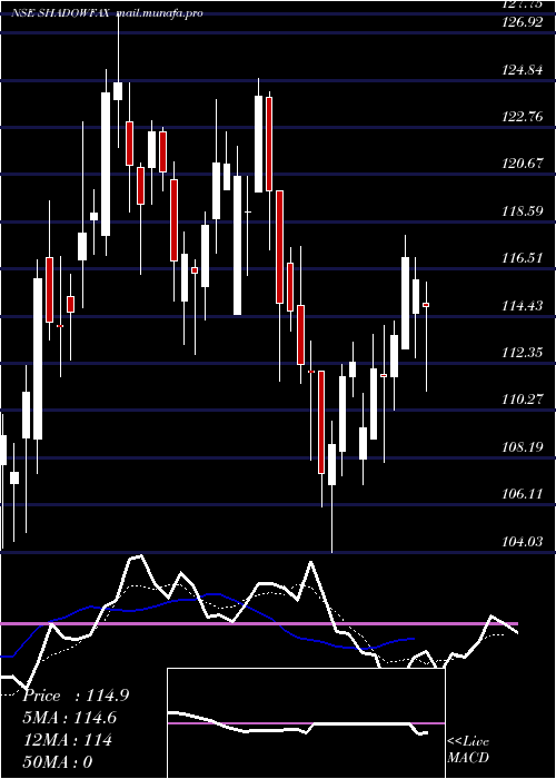  Daily chart ShadowfaxTechnologies