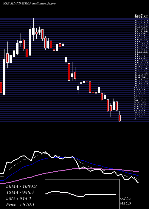  Daily chart ShardaCropchem