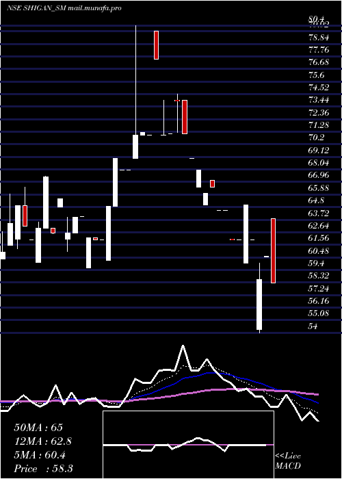  Daily chart ShiganQuantum