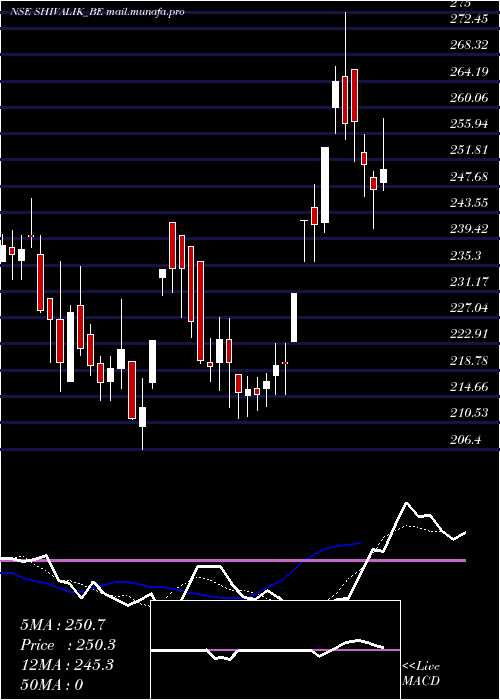  Daily chart ShivalikRasayan
