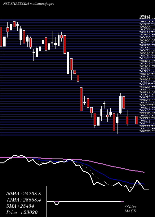  Daily chart ShreeCements