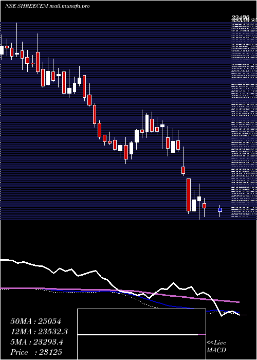 weekly chart ShreeCements