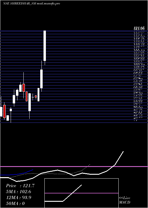  Daily chart ShreedharSpinners