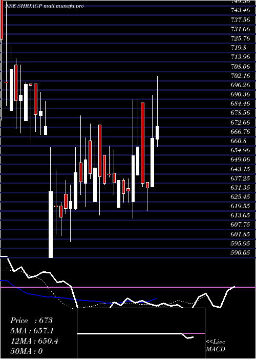  Daily chart ShriJagdamba