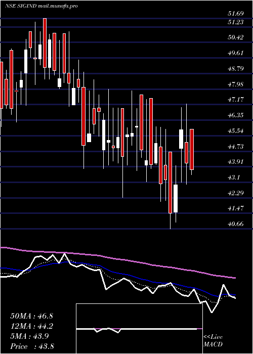  Daily chart SignetIndustries