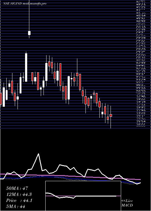  weekly chart SignetIndustries