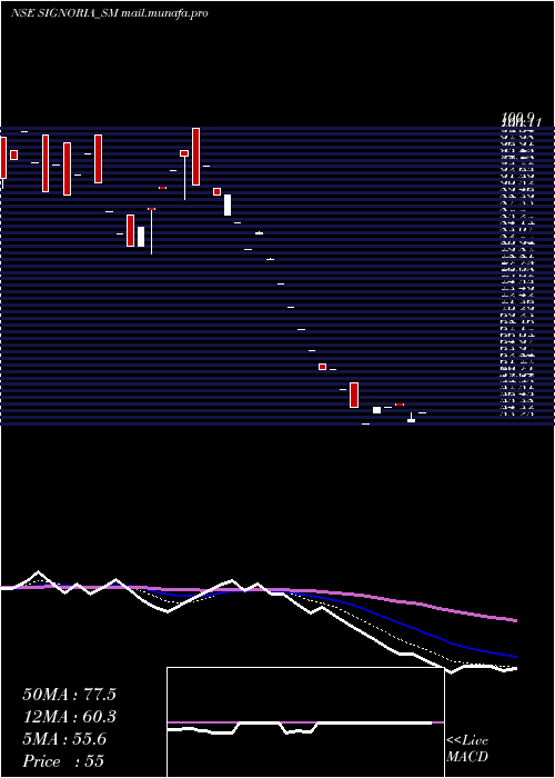  Daily chart SignoriaCreation