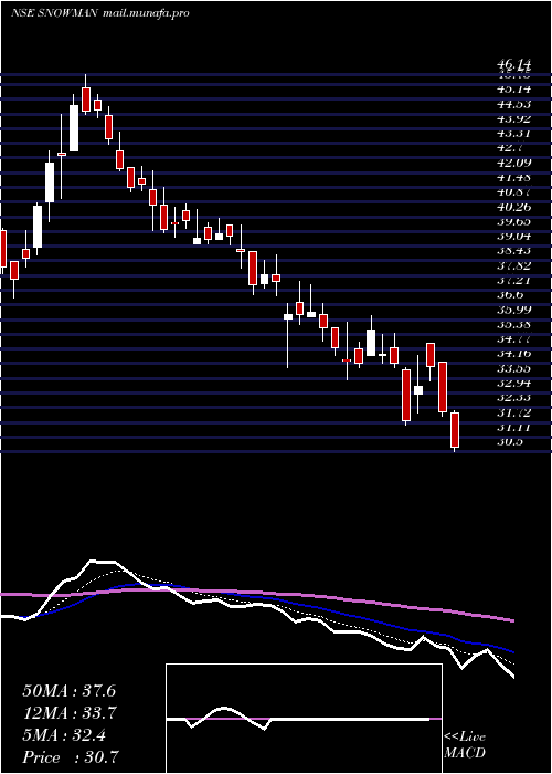  Daily chart SnowmanLogistics
