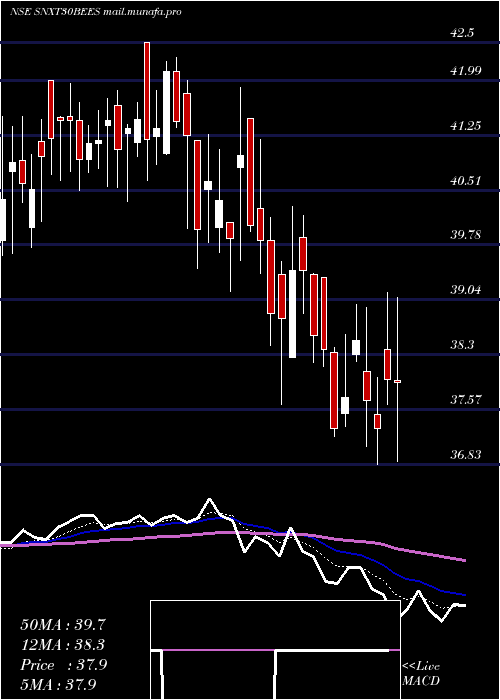  Daily chart NipponamcSnxt30bees