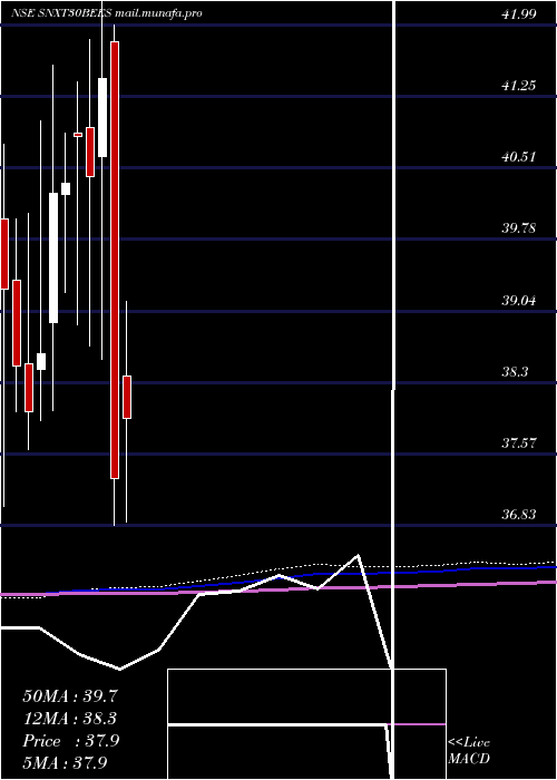  monthly chart NipponamcSnxt30bees
