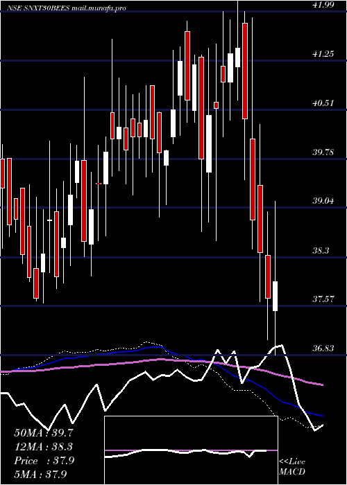  weekly chart NipponamcSnxt30bees