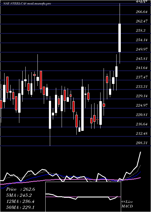  Daily chart Steelcast