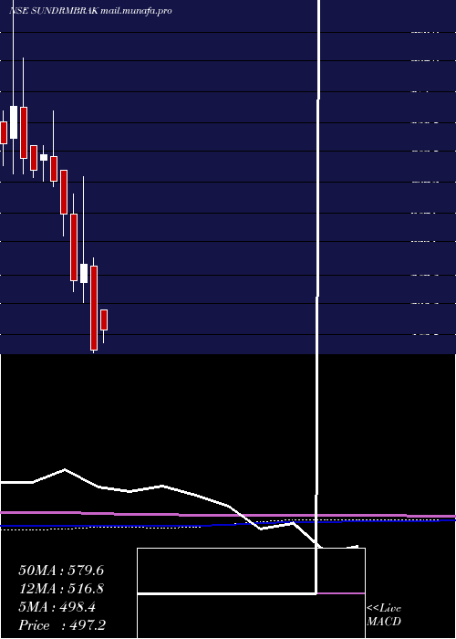  monthly chart SundaramBrake