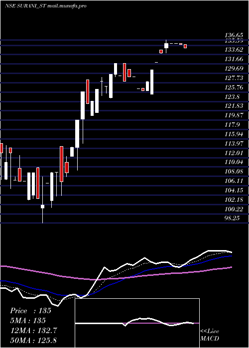  Daily chart SuraniSteel