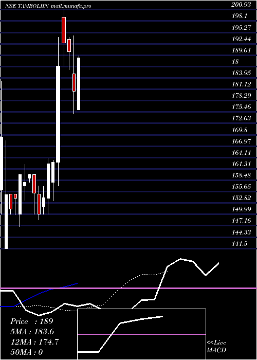  Daily chart TamboliIndustries