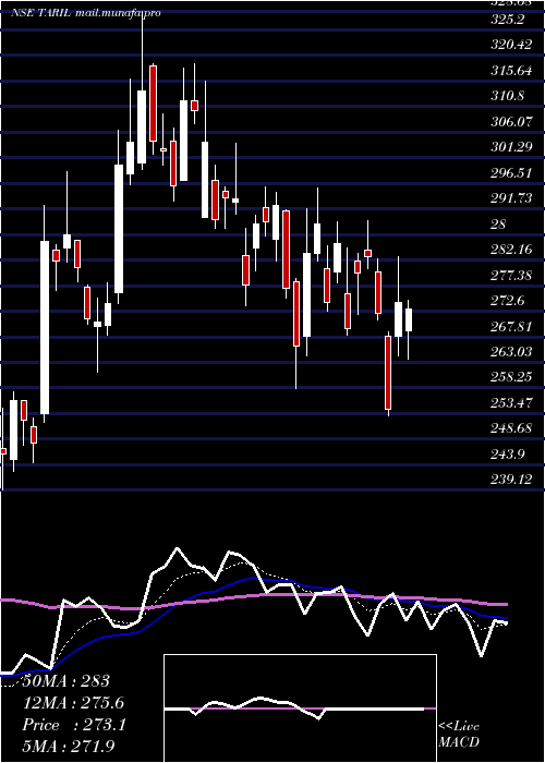  Daily chart TransRecti