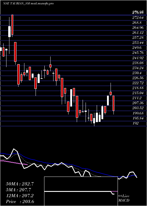  Daily chart TaurianMps