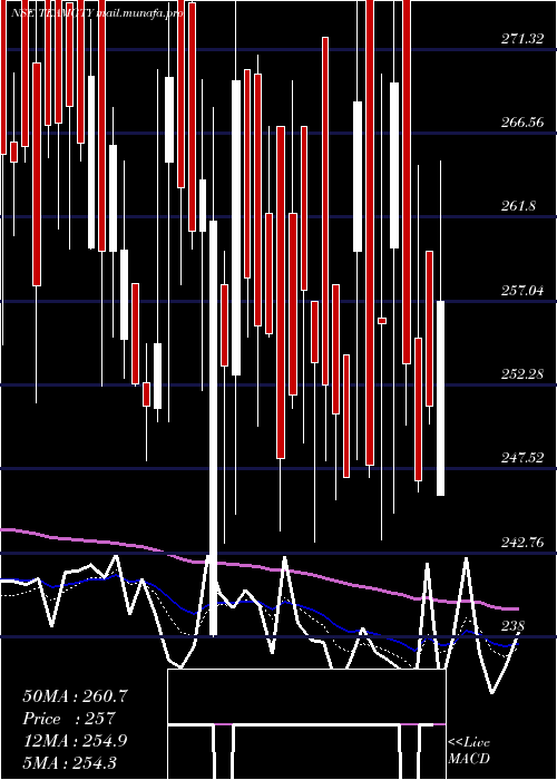  Daily chart TeamIndia