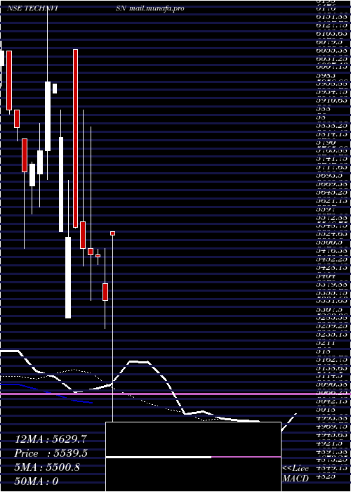  Daily chart TechnvisionVentures