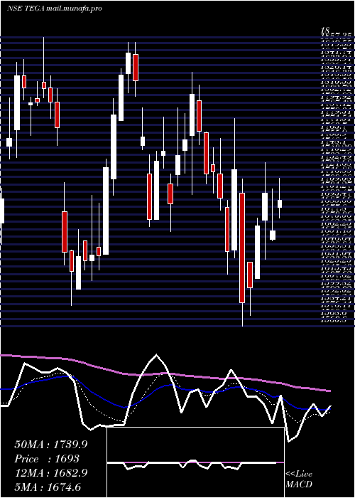  Daily chart TegaIndustries
