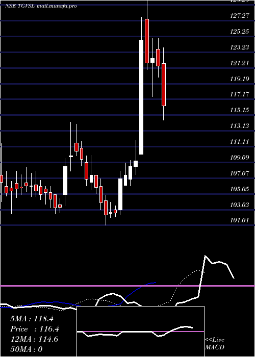 Daily chart TG