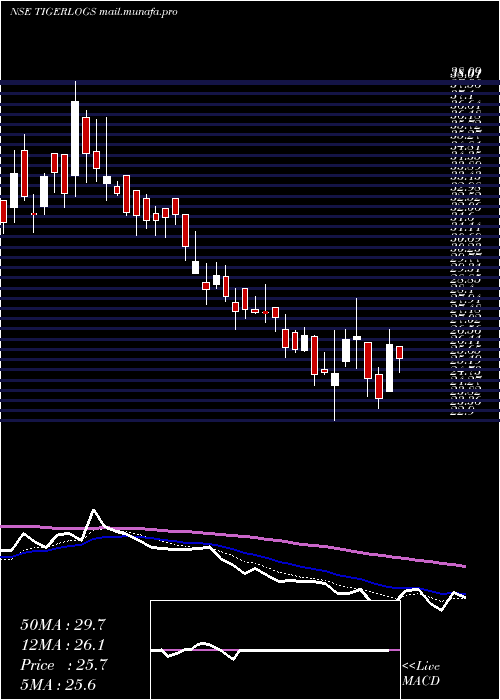  Daily chart TigerLogistics