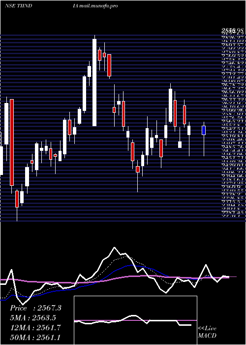  Daily chart TubeInvest