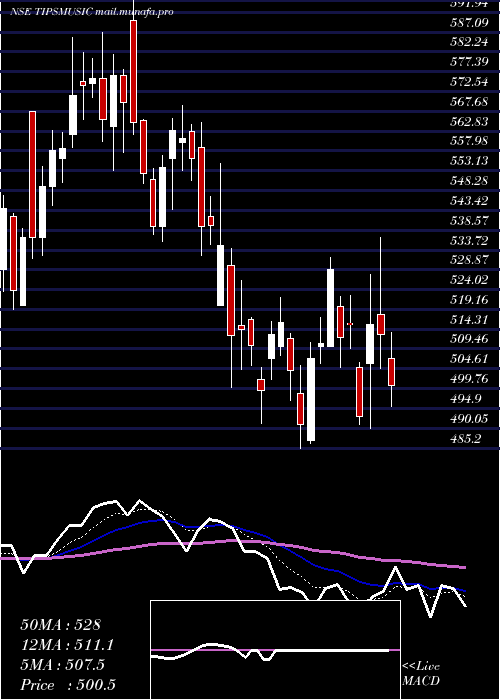  Daily chart TipsMusic