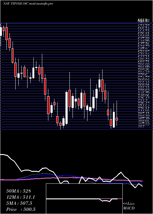  weekly chart TipsMusic