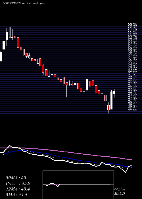  Daily chart TrigynTechnologies