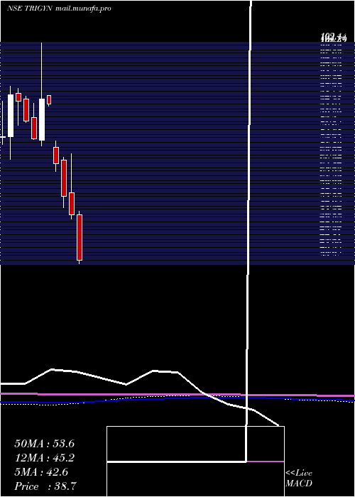  monthly chart TrigynTechnologies