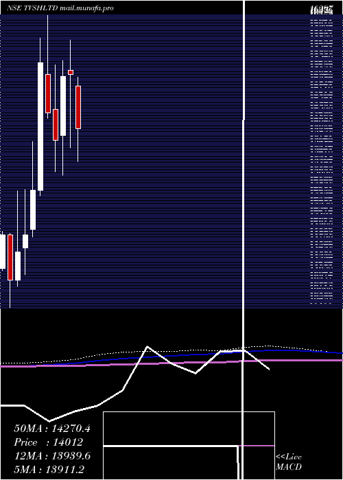  monthly chart TvsHoldings