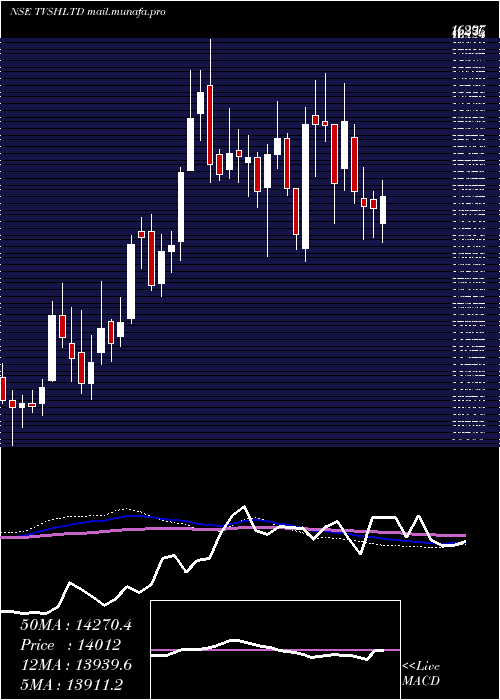  weekly chart TvsHoldings