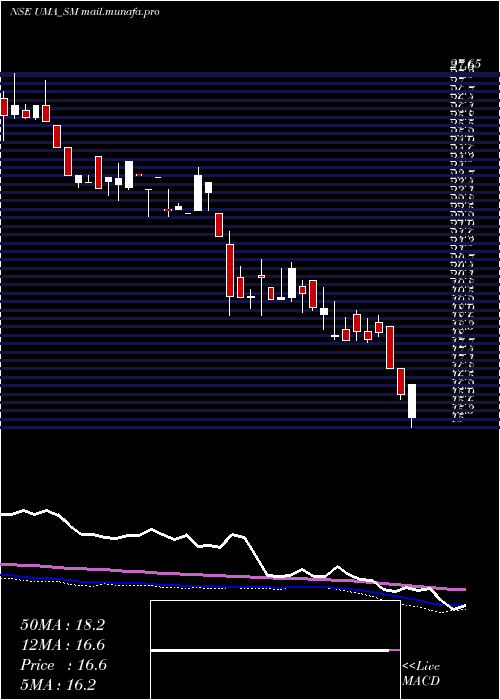  weekly chart UmaConverter