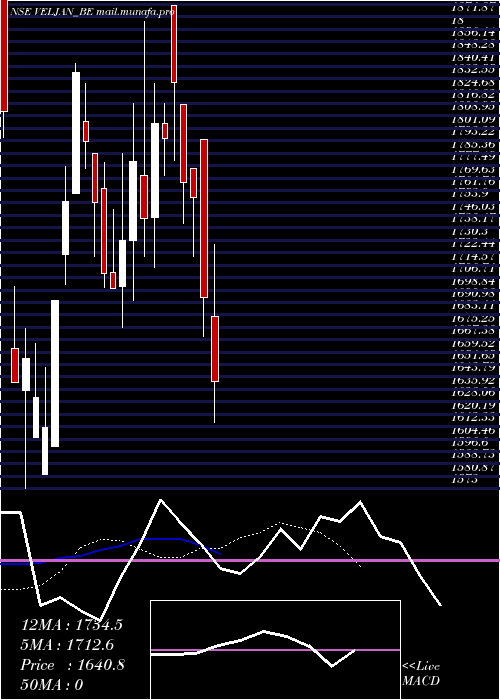  Daily chart VeljanDenison